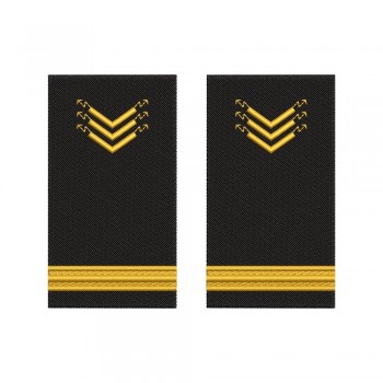 Grade brodate – marina comerciala -  Ship Electrician/ electrician de bord subofiter