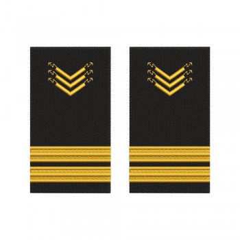 Grade brodate – marina comerciala -  Ship Electrician/ electrician de bord ofiter Junior