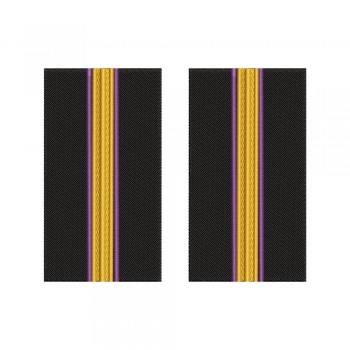 Grade brodate – marina comerciala - Engineer Cadet ingineri