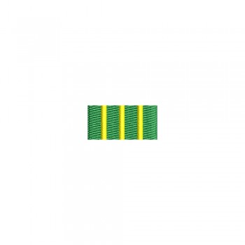 Barete militare pentru cămasă - Insigna-simbol a cursului de limbi straine ofiteri ofiteri