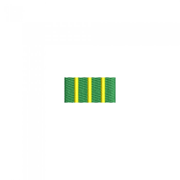 Bareta brodată simbol curs limbi străine – însemn decorativ militar bareta brodată pentru curs limbi străine – panglică insignă oficială uniformă militară
