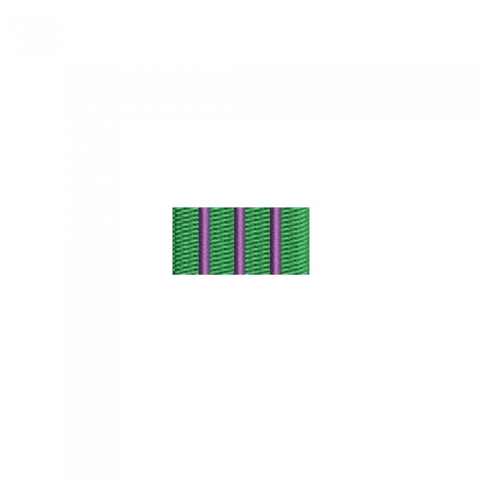 Bareta curs management logistic sănătate – broderie textilă 2x1 cm pentru uniformă bareta brodată curs logistic sănătate MApN – verde cu dungi mov, 2x1 cm