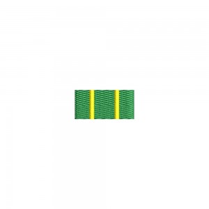 Barete militare pentru cămasă -  Insigna-simbol a cursului de specializare ofiteri