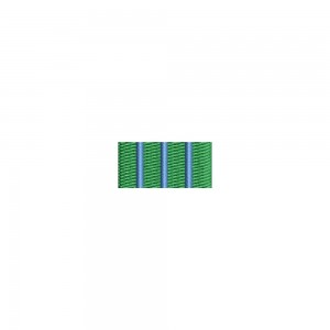 Barete militare pentru cămasă - Insigna-simbol pentru masterat ofiteri