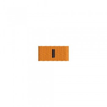 Barete militare pentru veston - Insigna-simbol a premiului I