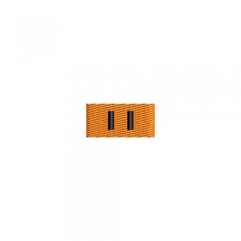 Barete militare pentru veston - Insigna-simbol a premiului II