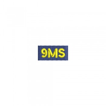 Barete militare pentru veston- Misiuni in strainatate MS9