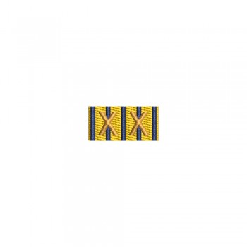 Barete militare pentru cămasă - Embleme de onoare in serviciul patriei pentru XX  ani de activitate subofiteri, maistrii militari, soldati