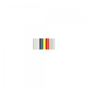 Barete militare pentru cămasă  - Insigna-simbol pentru depunerea juramantului militar