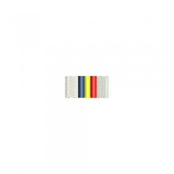 Barete militare pentru cămasă  - Insigna-simbol pentru depunerea juramantului militar