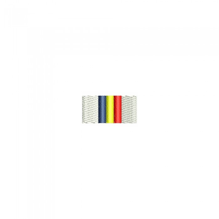 bareta brodată tricolor jurământ militar uniformă ceremonială România