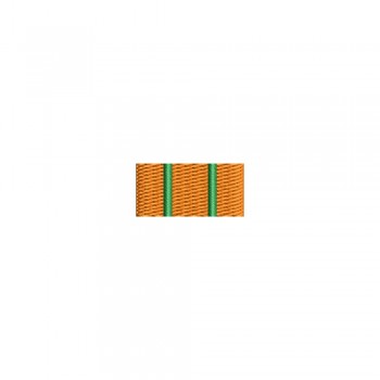 Barete militare pentru cămasă  – Insigna-simbol a conferentiarului universitar/cercetător stiintific gradul II