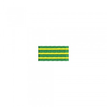 Barete militare pentru veston - Insigna-simbol a cursului limbi straine