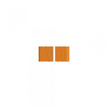 Barete militare pentru cămasă  – Insigna-simbol a asistentului universitar