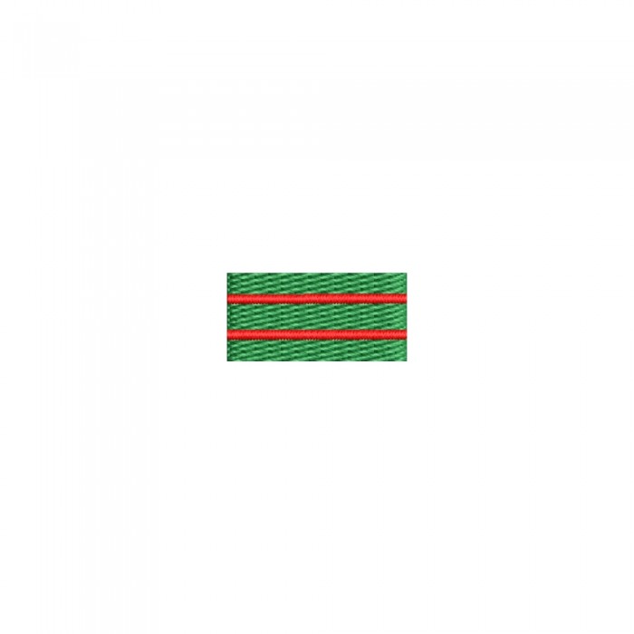 insigna simbol curs plutonier adjutant principal absolvent subofiteri maistri militari