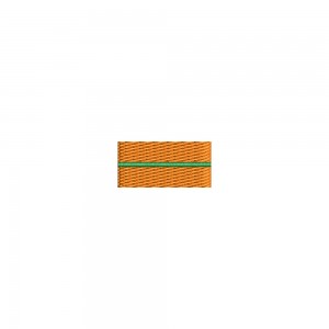 Barete militare pentru veston - Insigna simbol a cursului pentru gradatii profesionisti SGP