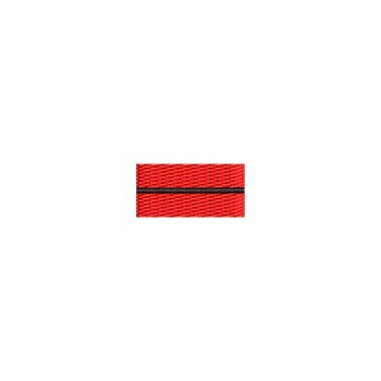 Barete militare pentru cămasă – Insigna-simbol a instructorului maistru militar