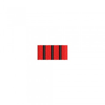 Barete militare pentru cămasă  – Insigna-simbol a instructorului