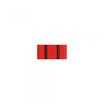 Barete militare pentru cămasă  – Insigna-simbol a instructorului sef