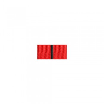 Barete militare pentru cămasă  – Insigna-simbol a instructorului superior