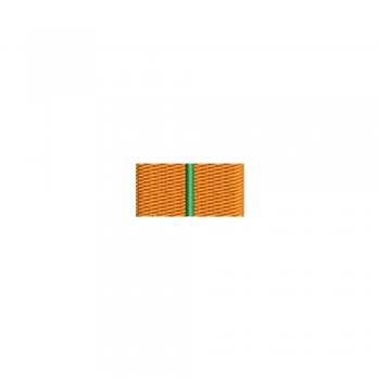 Barete militare pentru cămasă – Insigna-simbol a profesorului universitar-cercetator stiintific gradul I