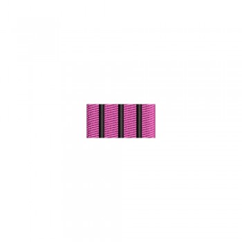 Barete militare pentru cămasă - Insigna-simbol a cercului asociatiei stiintifice