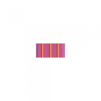 Barete militare pentru cămasă - Insigna-simbol a cercului asociatiei civice