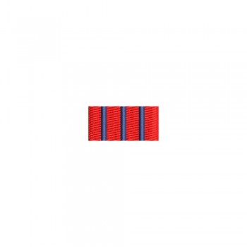 Barete militare pentru cămasă  – Insigna-simbol a profesorului