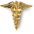 Insigna Medicina - Caduceu