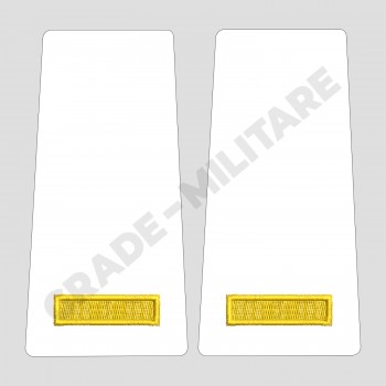 Grade Elev Anul I - Forte Navale oras - alb (Scolarizare 1 si 2 ani)