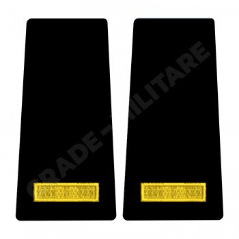 Grade Elev Anul I - Forte Navale oras - negru (Scolarizare 1 si 2 ani)