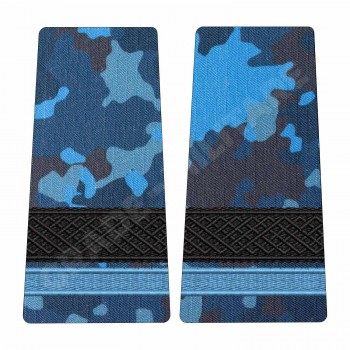Grade Elev Sergent - Forte Navale combat (Colegii Militare)