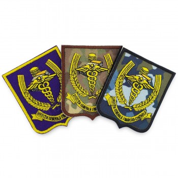 Emblema Directia Generala Financiar Contabila