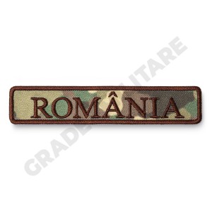 Ecuson Romania combat forte terestre