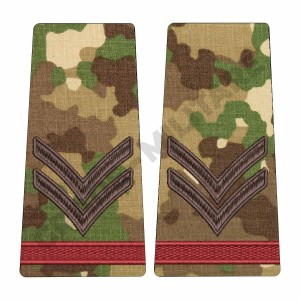 Grade Student Caporal - Forte Terestre combat