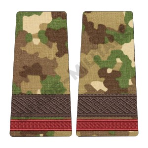 Grade Student Sergent - Forte Terestre combat