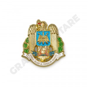 Insigna Fortele Aeriene Insigna Fortele Aeriene