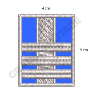 Grad piept Colonel jandarmerie