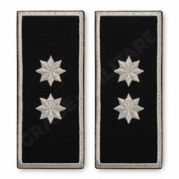 Grade Adjunct Sef (director executiv adjunct) Politia Locala