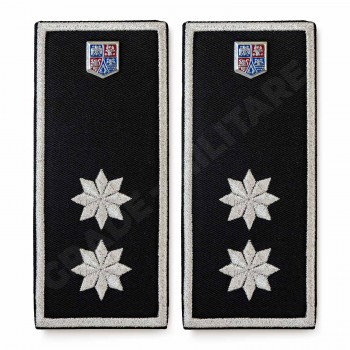 Grade Adjunct Sef Politia Locala v3