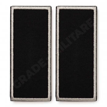 Grade Functionar Public Asistent Politia Locala