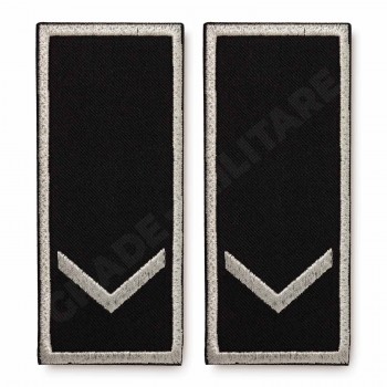 Grade Functionar Public Principal Politia Locala