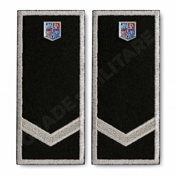 Grade Functionar Public Principal Politia Locala v3