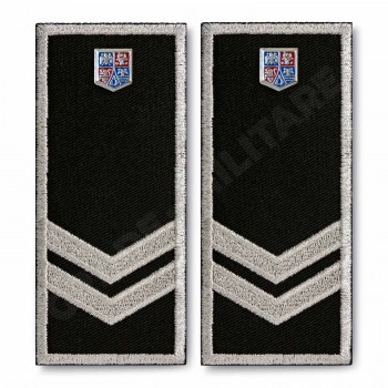 Grade Functionar Public Superior Politia Locala v3