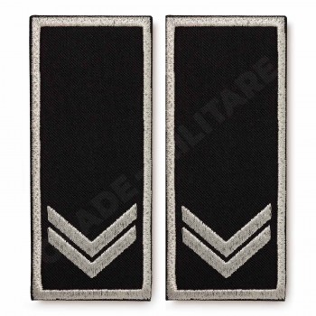 Grade Functionar Public Superior Politia Locala