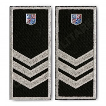 Grade Sef Birou Compartiment Politia Locala v3