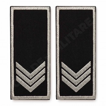 Grade Sef Birou Compartiment Politia Locala