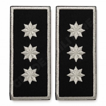 Grade Sef Politia Locala (director executiv)