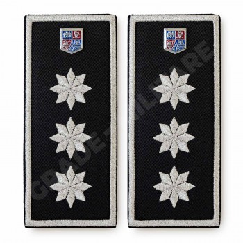 Grade Sef Politia Locala v3