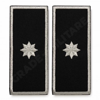 Grade Sef Serviciu Politia Locala 